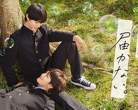 哪种网站可以优化软件